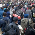 migración