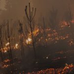 header_Incendios2020