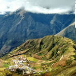 dendro-amazonas-peru2