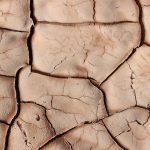 image-from-rawpixel-id-3286803