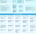 ORGANIGRAMA-castellano