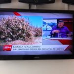 laura_tvn