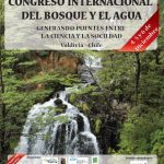 bosque y agua afiche