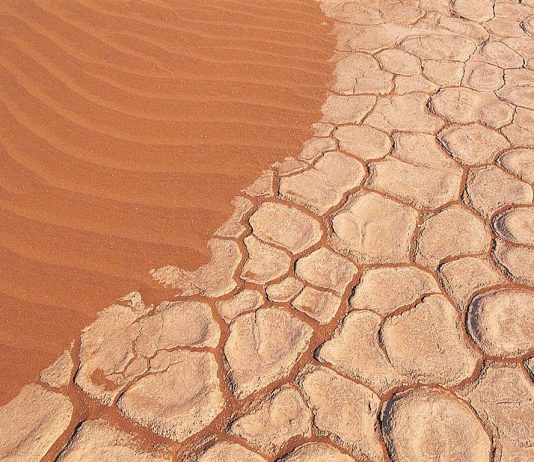 Centro de Ciencia del Clima: “El Comportamiento del Clima Actual no tiene Precedentes”