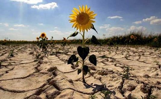 Calentamiento Global: Solo el compromiso político salvará al planeta