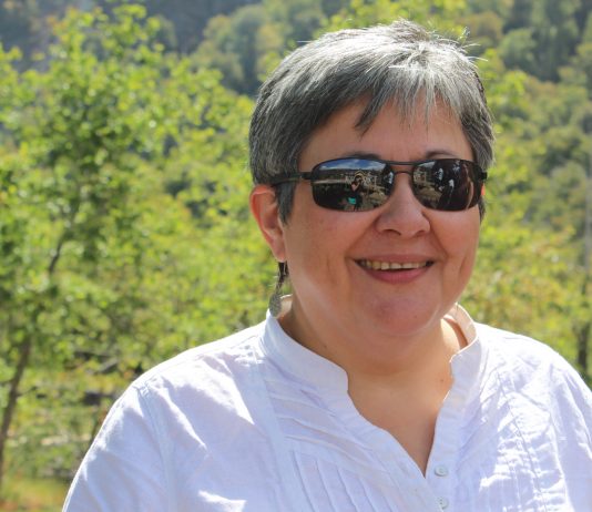 "La institucionalidad de la ciencia para el desarrollo sustentable", por Laura Gallardo