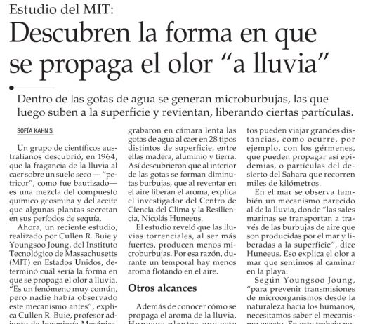 Descubren la forma en que se propaga el olor "a lluvia" (El Mercurio)