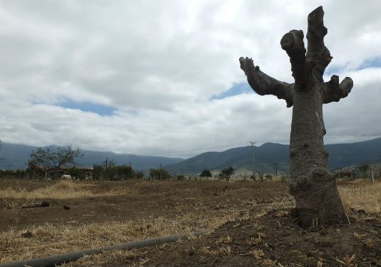 Temperatura de 2014 en Chile fue 0,4°C más alta que el promedio histórico (La Tercera)