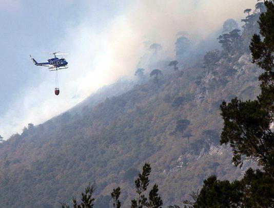 Naturaleza en peligro (Ruta de la Sustentabilidad, La Segunda)