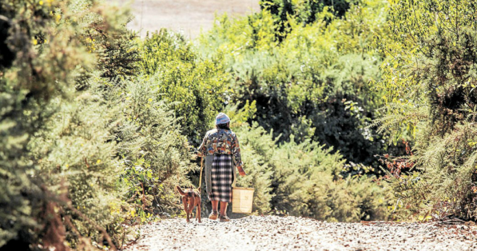 laterceraportada2_230315