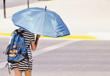 Dirección Meteorológica realiza el análisis más detallado del impacto del cambio climático en Chile (La Tercera)