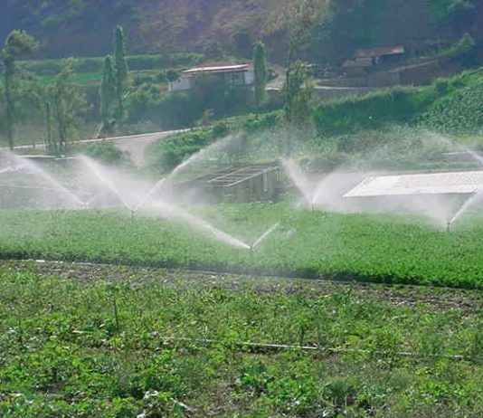 Productores del sur piden invertir en tranques y requieren ayuda para sistemas de riego (El Mercurio)