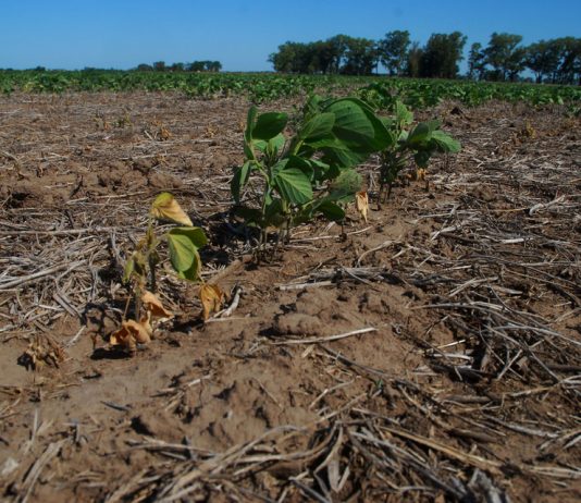 Sequía en Chile: Cuando el agua ya no cae del cielo (Explora.cl)