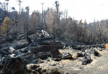 Recuperar la Reserva China Muerta tardará entre unos 300 y 400 años (El Mercurio)