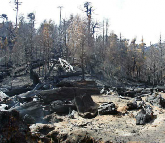 Recuperar la Reserva China Muerta tardará entre unos 300 y 400 años (El Mercurio)