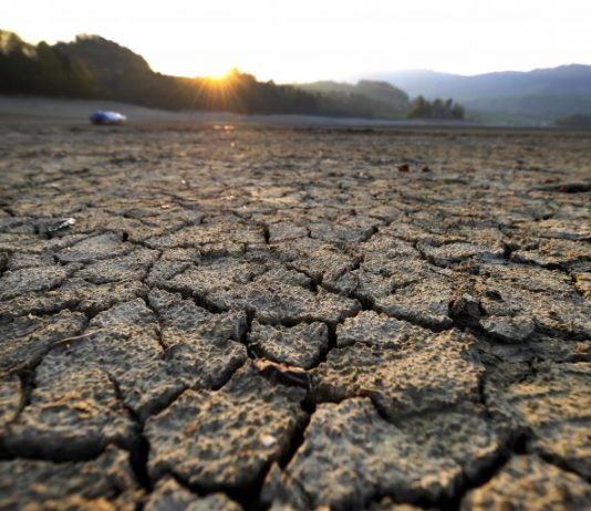 Marzo fue el mes más cálido de la historia en el planeta según agencia japonesa de meteorología (La Tercera)