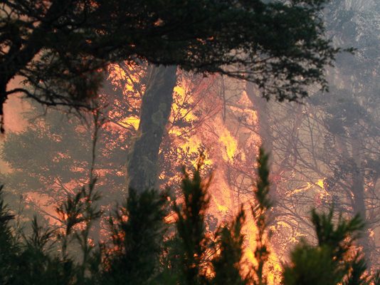 Por qué los incendios en Chile que dejan más de 100 muertos fueron tan destructivos (BBC)