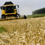 seguridadalimentaria_em