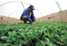 Científicos recomiendan adaptar procesos productivos al cambio climático (Noticias UChile)