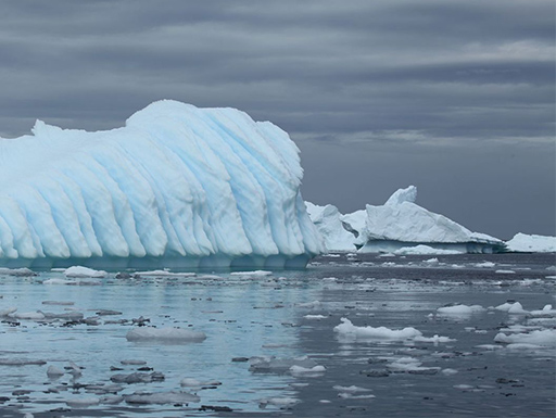 antartica-elmercurio