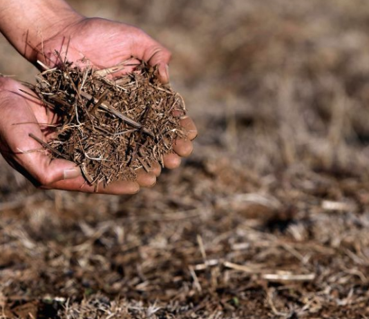 «Megasequía» afecta a Chile: Informe será presentado este lunes al Gobierno (Publimetro)