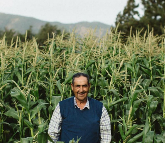 Medio ambiente: las señales del clima (La Segunda)