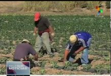 Chile: diputados piden ley para combatir cambio climático (TeleSUR)