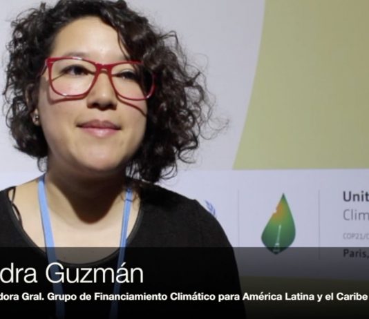 Entrevista a Sandra Guzmán de GFLAC en la COP21