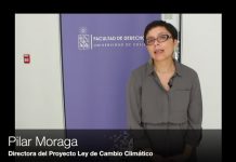 Entrevista a Pilar Moraga, directora proyecto Ley de Cambio Climático (CR)2 y Adapt-Chile