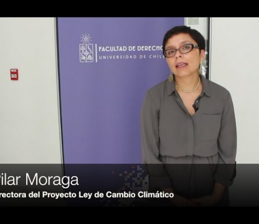 Entrevista a Pilar Moraga, directora proyecto Ley de Cambio Climático (CR)2 y Adapt-Chile