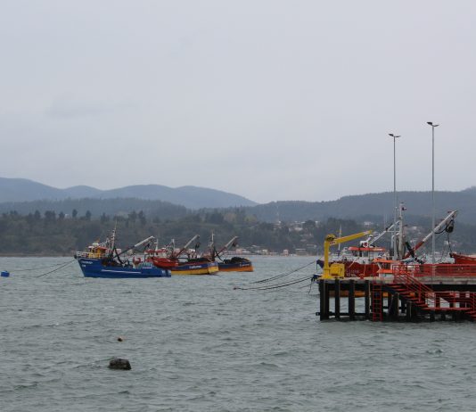 En la prensa: Lanzamiento boya POSAR en Concepción