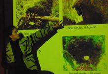 Aprendiendo a conservar el dosel del alerce milenario