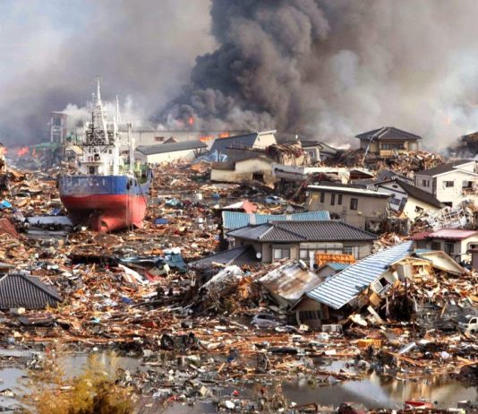 5 y 7 de mayo | Coloquio interdisciplinario de filosofía ambiental «Perspectivas sobre la destrucción de la naturaleza»