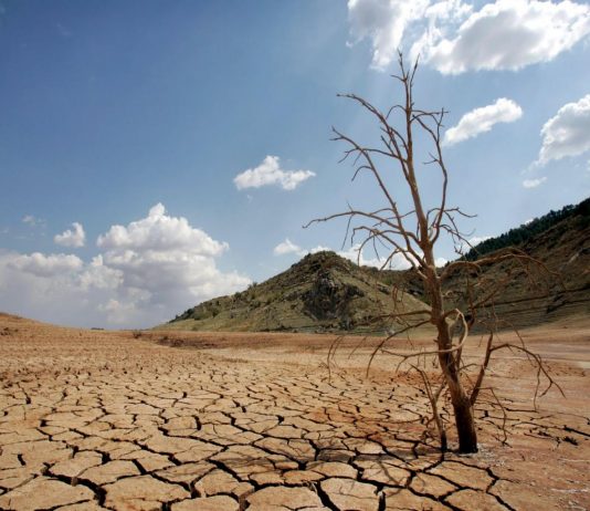El 21,7% del territorio está en riesgo de desertificación y la sequía ya afecta al 72% (La Tercera)