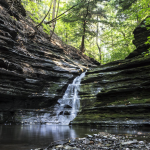 leyes-ambientales-debate