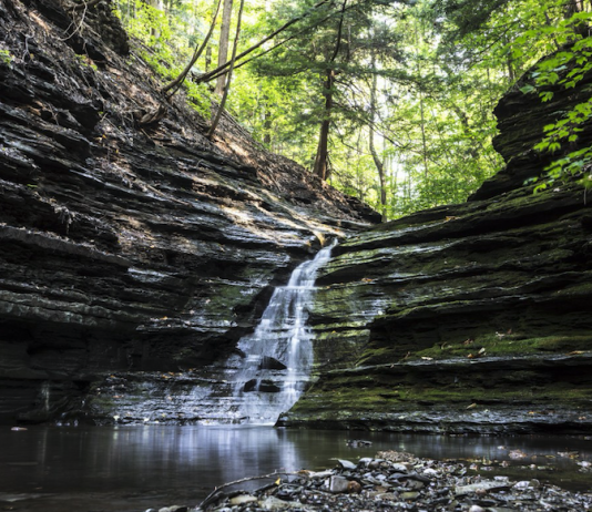 29 julio | Ciclo de charlas sobre reforma constitucional y medio ambiente en Derecho UChile