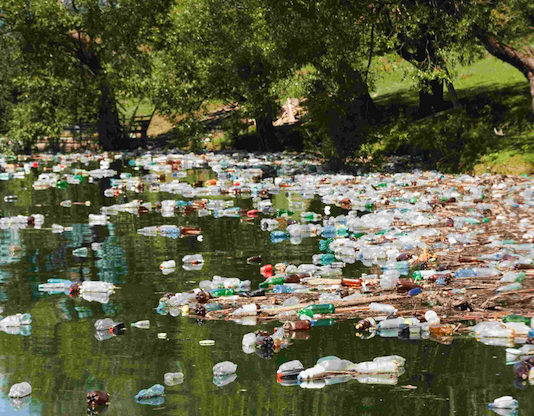 8 de septiembre | Ciclo de charlas «Reforma constitucional y protección del medio ambiente»