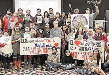 Exigen protección para los bosques antiguos que existen en la costa valdiviana (El Austral de Valdivia)