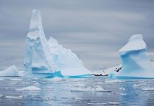 El calentamiento de los océanos golpea con más fuerza al hemisferio sur (El Mercurio)