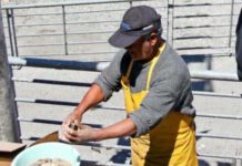 Descartan relación entre vertimiento al mar de salmones y la extensa crisis por marea roja (El Mercurio)