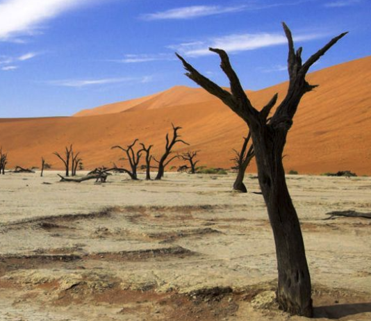 11 de enero | Seminario «Predicción climática decadal: experiencia y perspectivas”