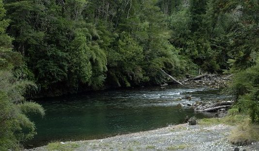 El cambio climático golpea fuerte a los recursos hídricos (Diario Financiero)