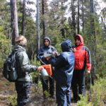 Equipo realizando mediciones en Parque Nacional Alerce Costero