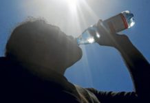 ¿Cómo adaptar las ciudades y la agricultura a los crecientes registros de altas temperaturas? (Prensa Uchile)