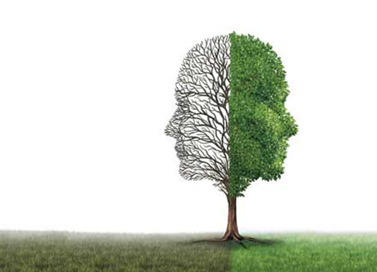 Psicología del cambio climático: las personas crean barreras para pasar del dicho al hecho (Diario Financiero)