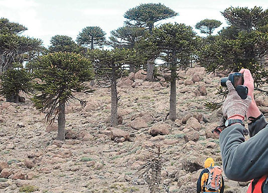 Advierten que Chile enfrenta la mayor sequía de últimos mil años (Diario Austral de Valdivia)