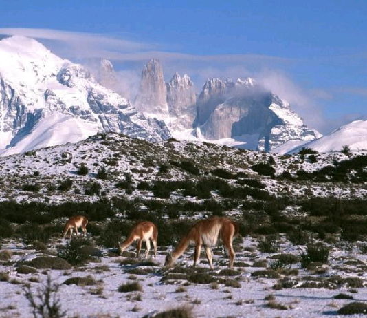9 al 12 de enero | Curso de verano «Modelamiento climático Magallanes»