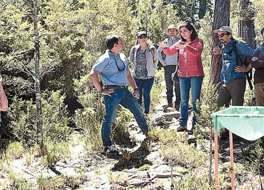 Estudian los efectos del cambio climático en los bosques de alerce (Diario Austral)