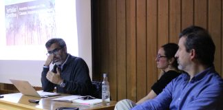 Incendios de sexta generación: cómo enfrentamos los desastres en Chile (Facforen UACh)