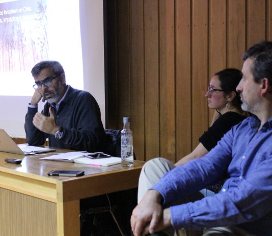 Incendios de sexta generación: cómo enfrentamos los desastres en Chile (Facforen UACh)